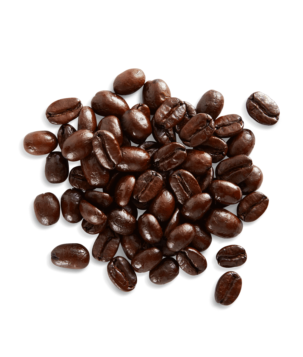 Organic French Roast