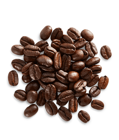 Sulawesi-Kalosi